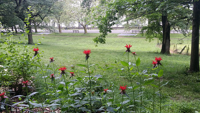 20170618_094416.jpg
