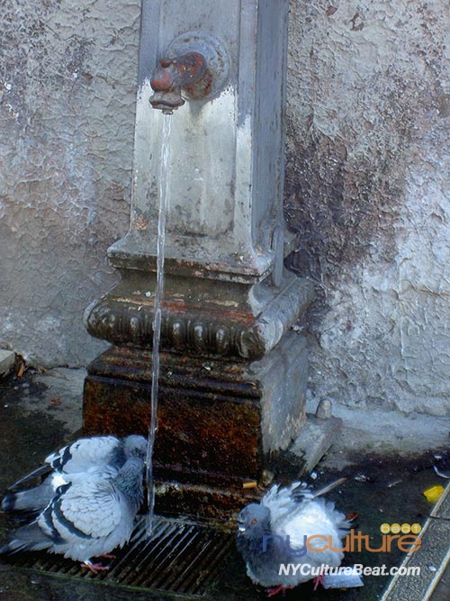 PICT0109.jpg