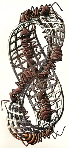 ArtForHoiPolloiMCEscher.jpg
