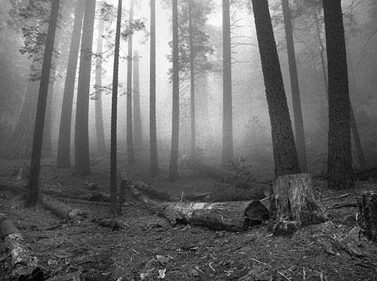road to yosemite4   parkjoon.jpg