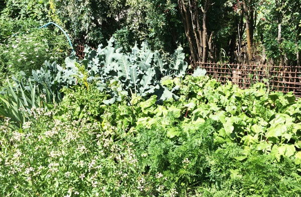 7몬타나IMG_0027 (2).jpg