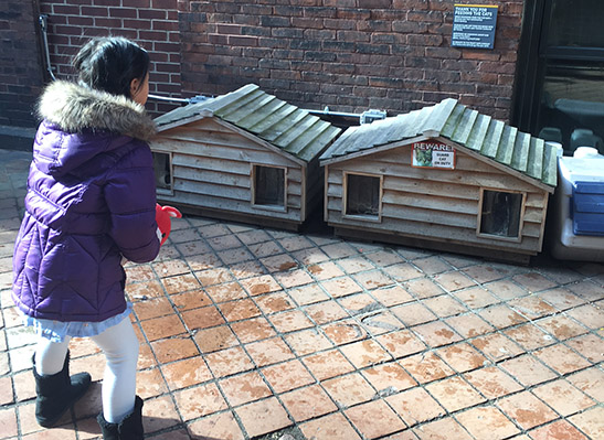 Cat house.JPG