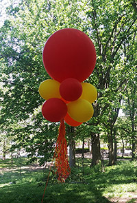 balloon RSP.jpg