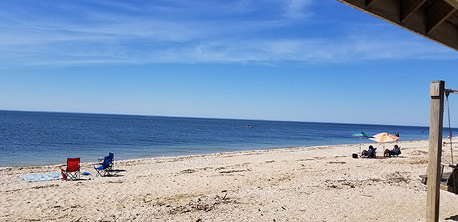 20190608_153458.jpg