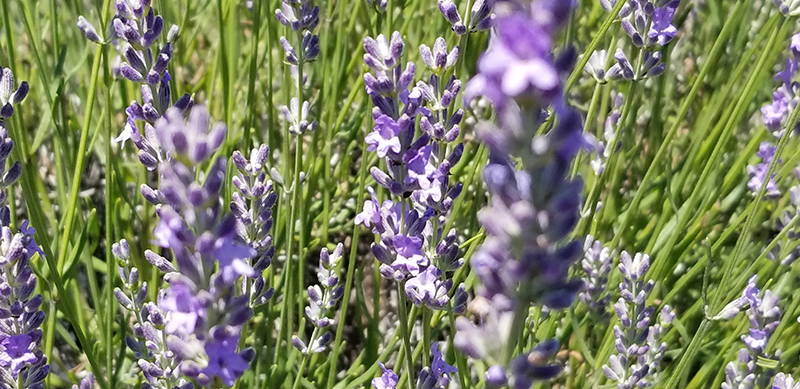 20180709_134901.jpg