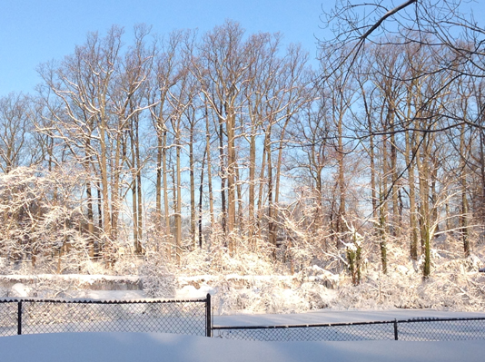 2014-02-04 07.57.55.jpg