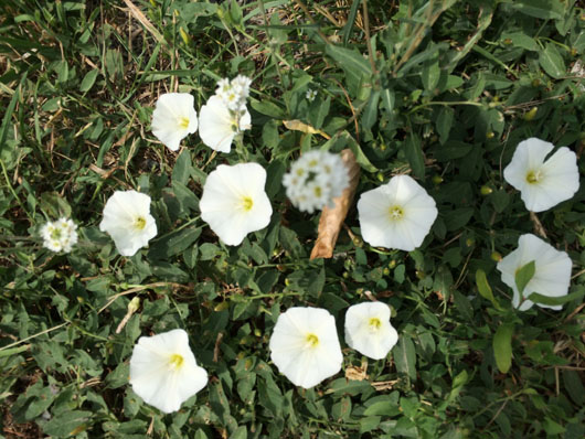 9IMG_0111.JPG
