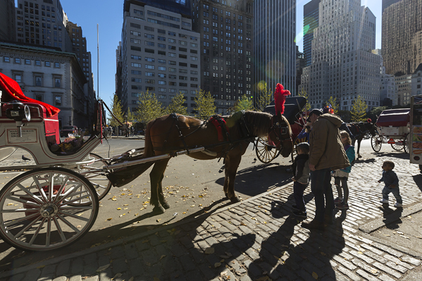YMJL0491.jpg