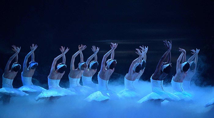 swanlake1.jpg