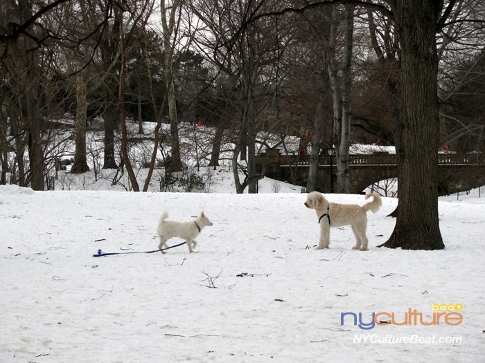000IMG_5250 (2).jpg