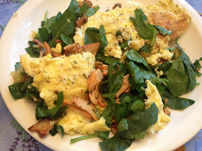 chanterele-omelet.jpg