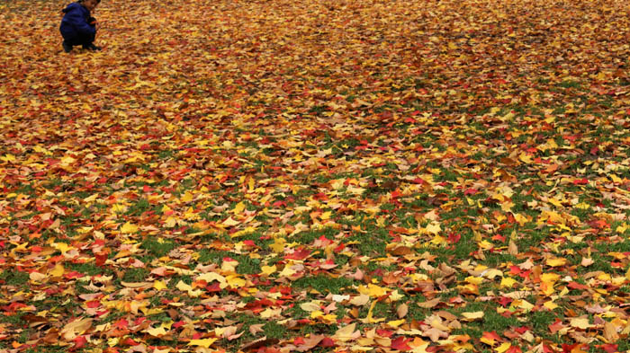 2015-10-29 013.JPG