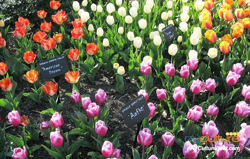 000IMG_0120.jpg