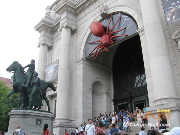 000interns-amnh.jpg