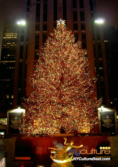 joy-rock-christmastree5 (2).jpg