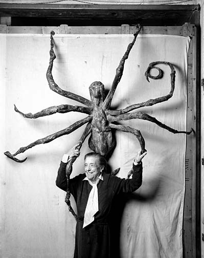 spider2.jpg