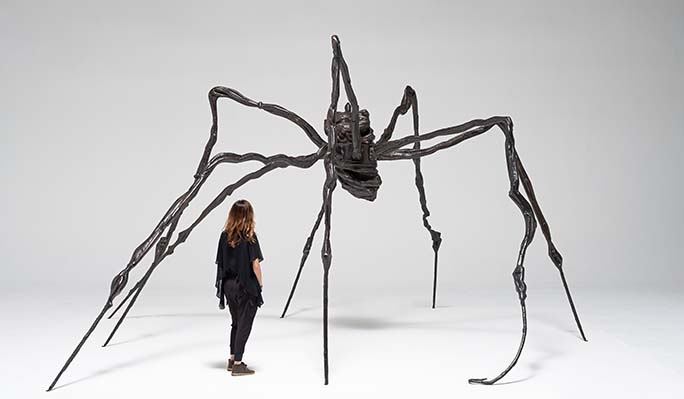 spider.jpeg