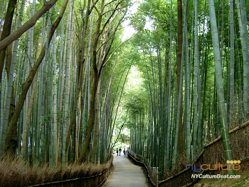 kyoto-arashiyama-bambooforest2.jpg