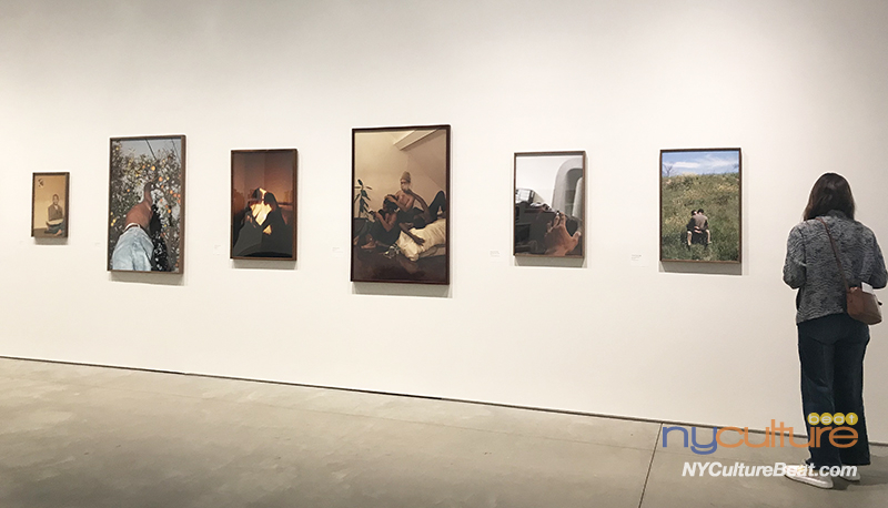 IMG_7593.jpg