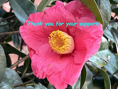 000thankyou-500.jpg