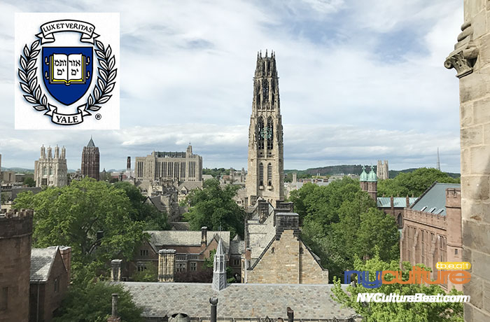 yale1.jpg
