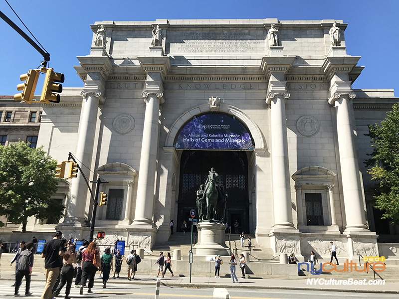 amnh.jpg