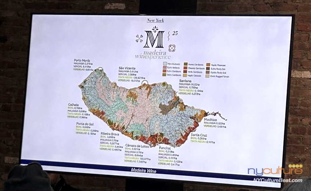 IMG_1805.jpg