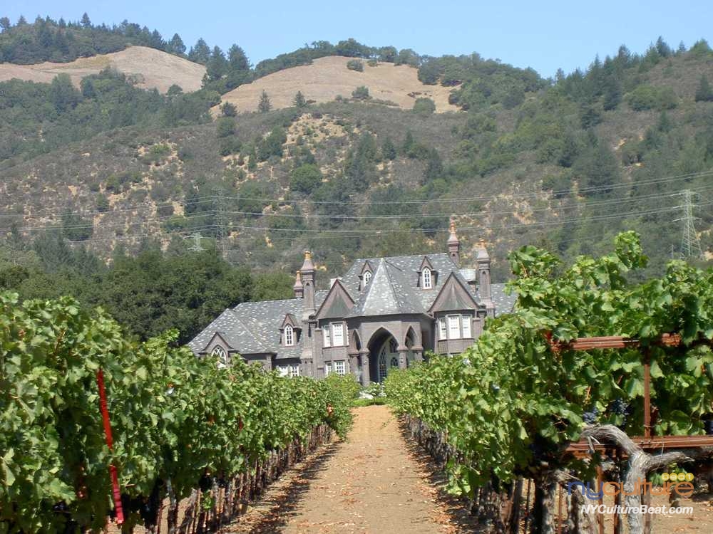 sonoma-ledson-vinyard.jpg