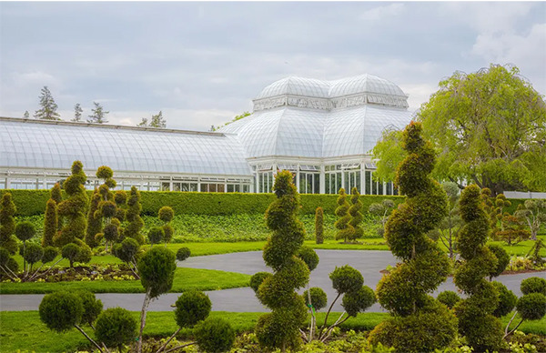 nybg2.jpg