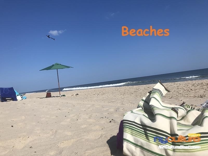 beaches2.jpg