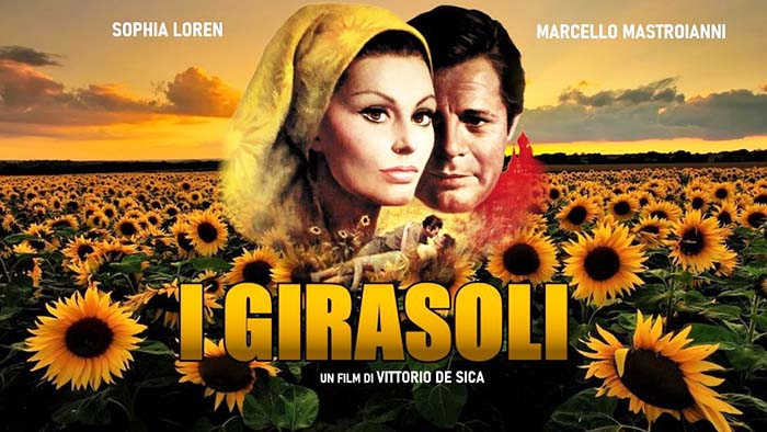 sunflower.jpg