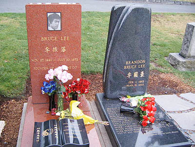 b8.jpg