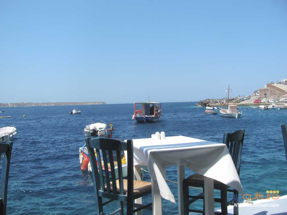 IMG_8915.JPG
