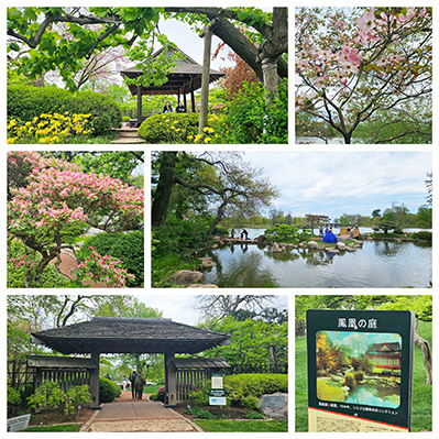 garden of phoenix.jpg