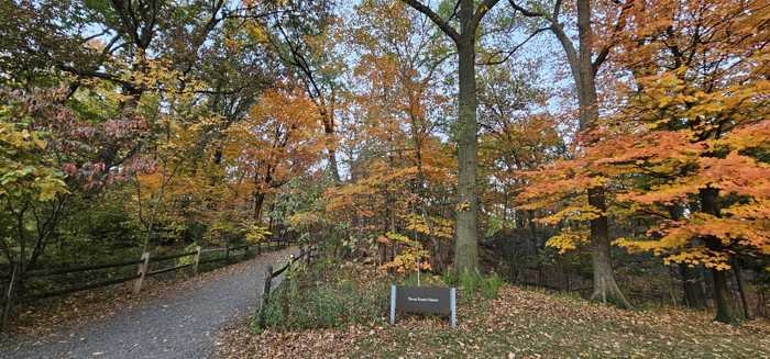20251026_175209 (2).jpg