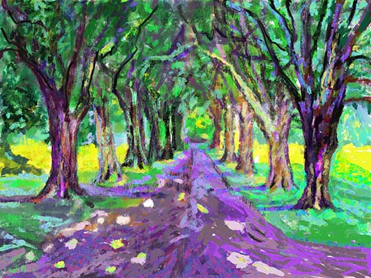 Untitled_Artwork (6).jpg