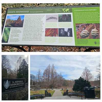 20250510_234543 (1).jpg