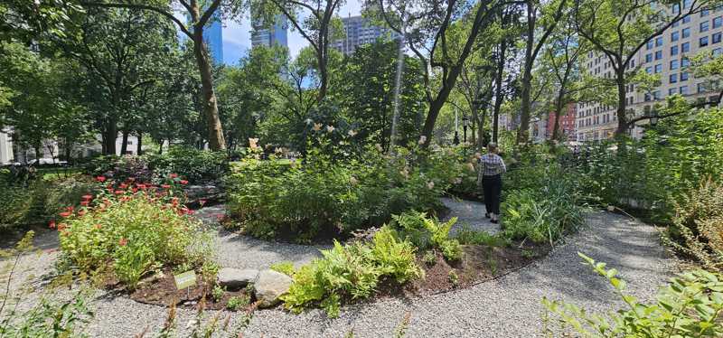 renewal garden.jpg