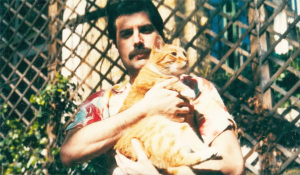freddie.jpg