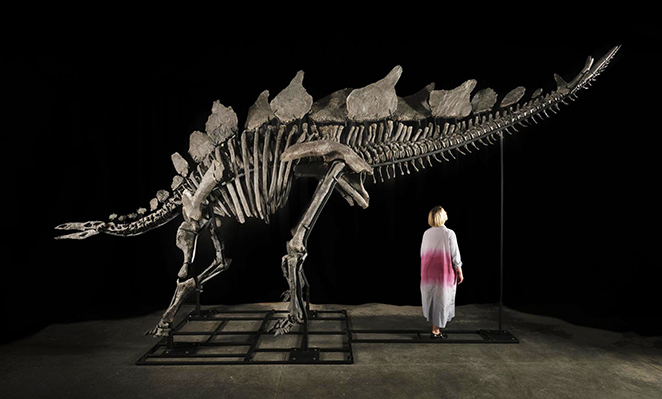 dino.jpg