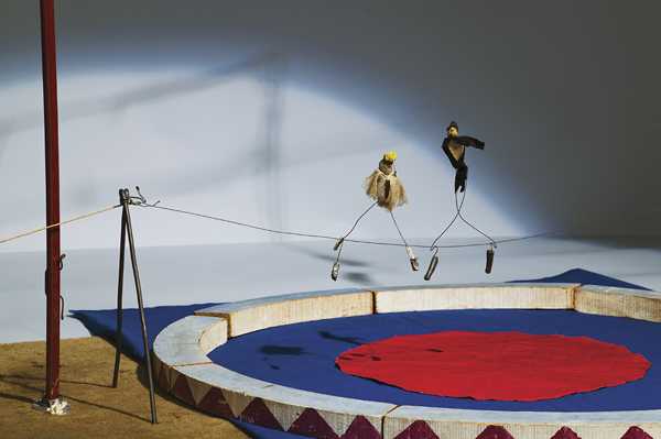 whitney-calder.jpg