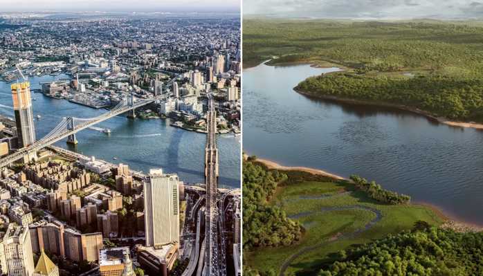 Before-New-York-NYBG-Lead-Collage.jpg