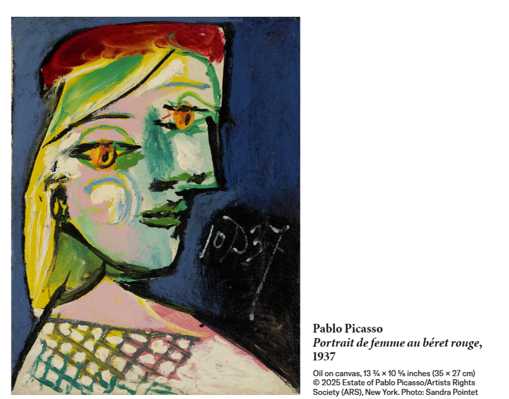 paloma.jpg