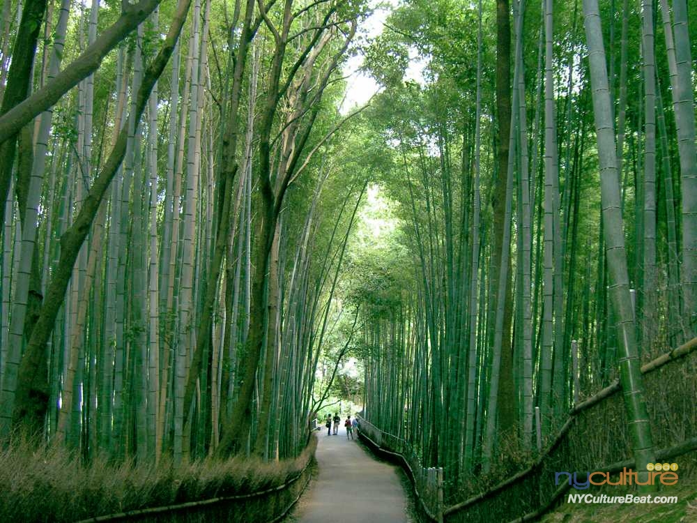 kyoto-arashiyama-bambooforest2.jpg