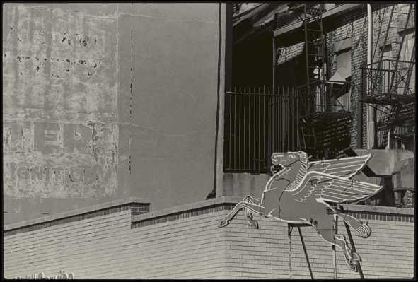 Rauschenberg-0040-New_York_City-Pegasus_0.jpg