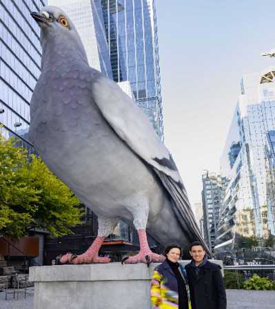 pigeonfest2.jpg