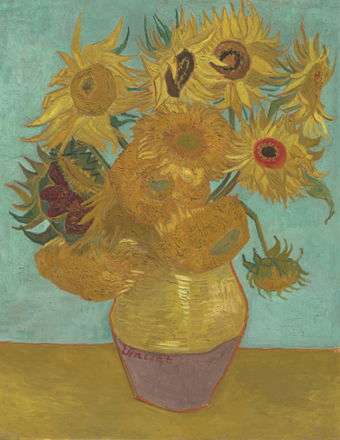 sunflower.jpg