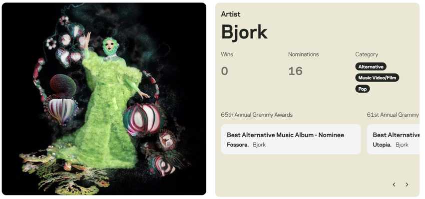 bjork-grammy.jpg