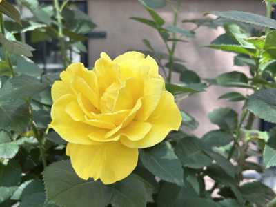 IMG_3847.jpg