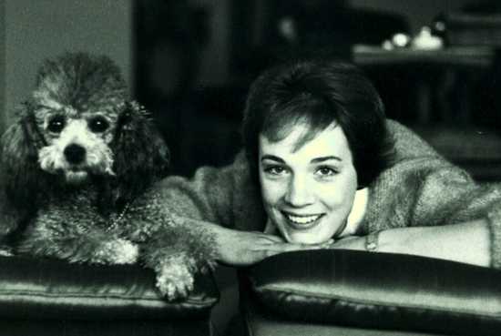 Julie-Andrews-and-Shy.jpeg